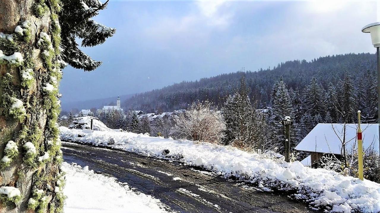 Penzion Sumavacek Bayerisch Eisenstein Exteriör bild