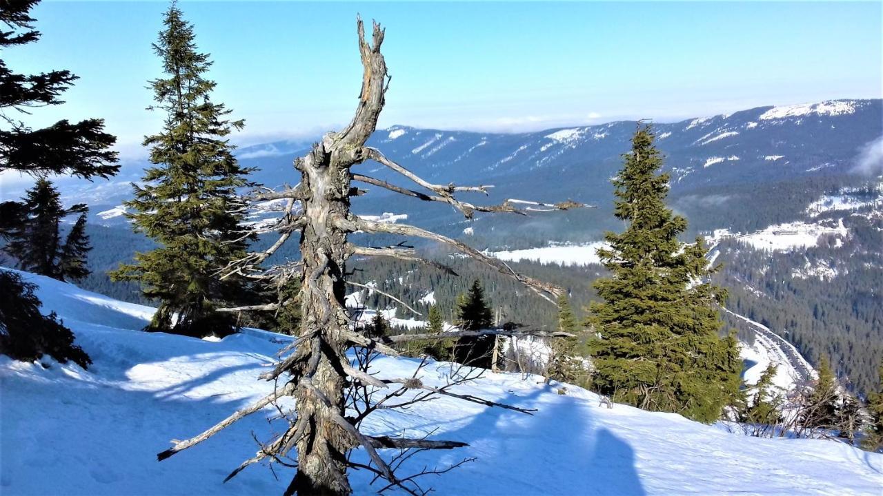 Penzion Sumavacek Bayerisch Eisenstein Exteriör bild