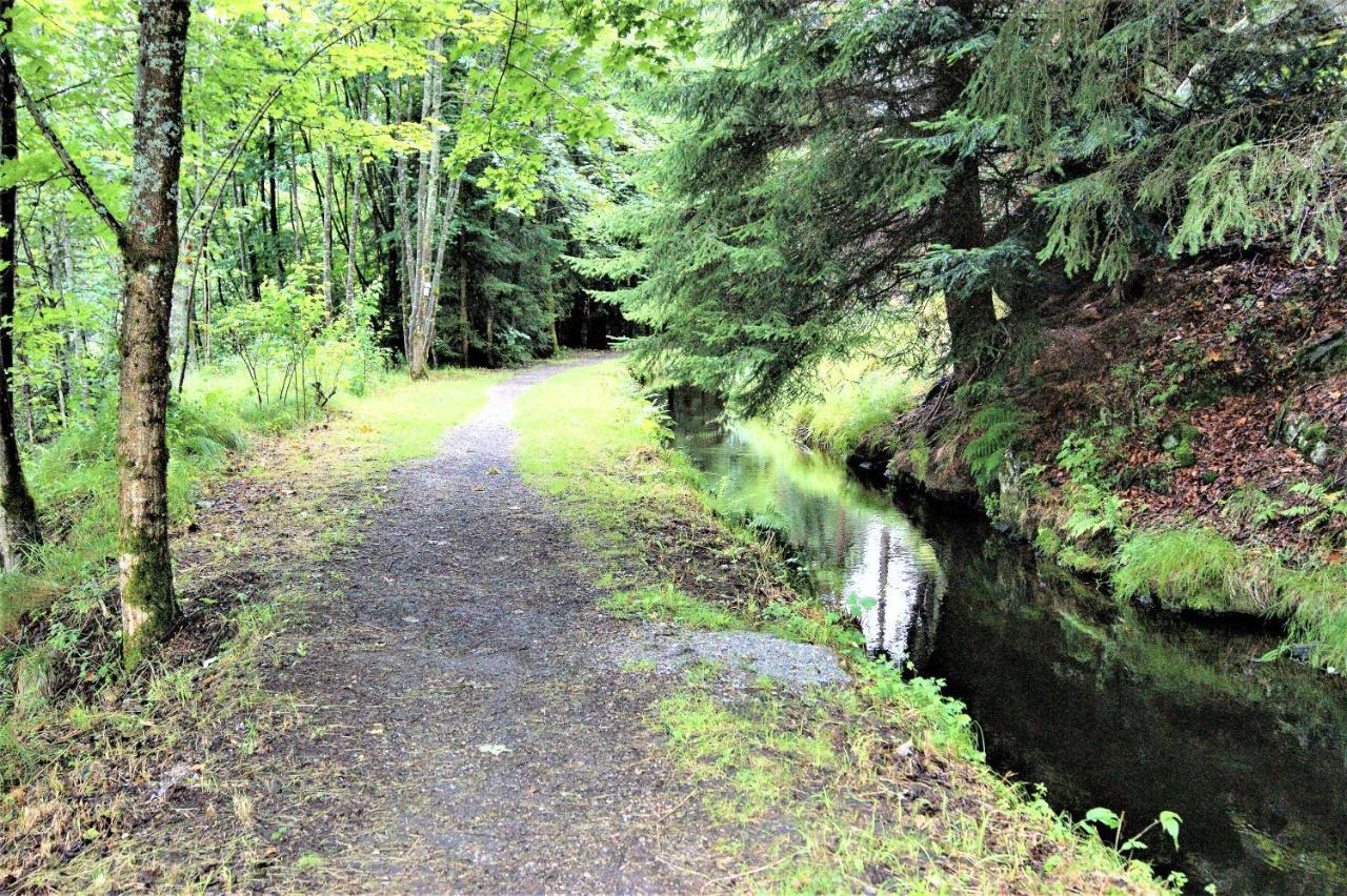 Penzion Sumavacek Bayerisch Eisenstein Exteriör bild